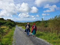 Ireland - Benbulben Forest Walk 1